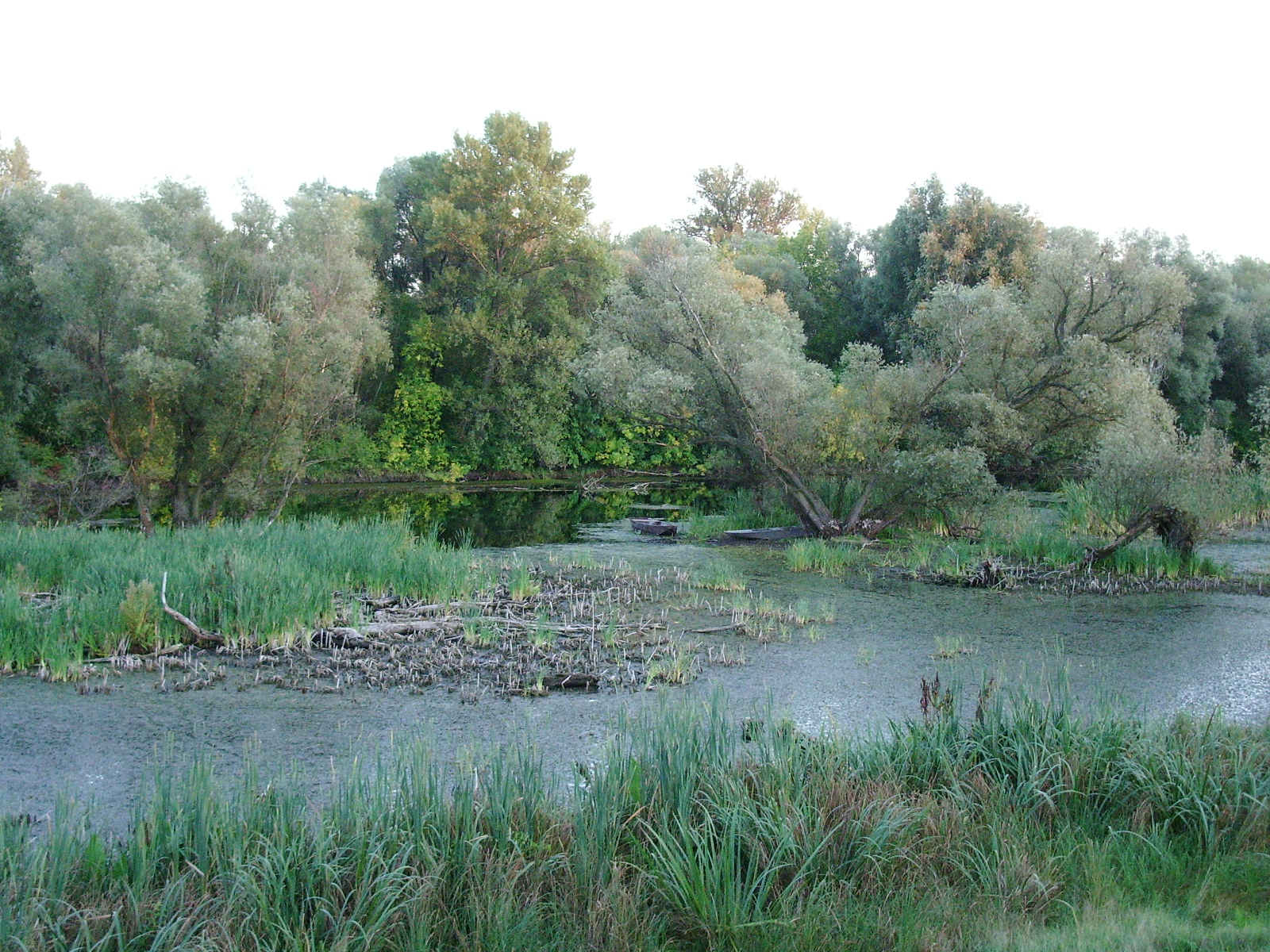 Stara Nitra - Landor I.jpg.JPG